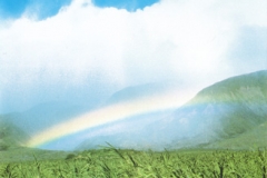 Rainbow landscape memorial brochure